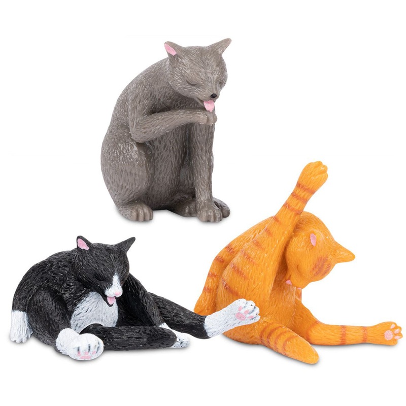 Cleaning Kitty – 1 random color