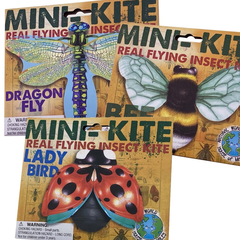 Mini Kit Flying Insect – One RANDOM style