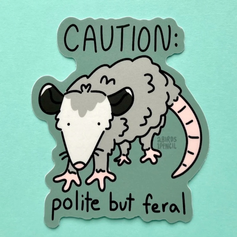 Possum