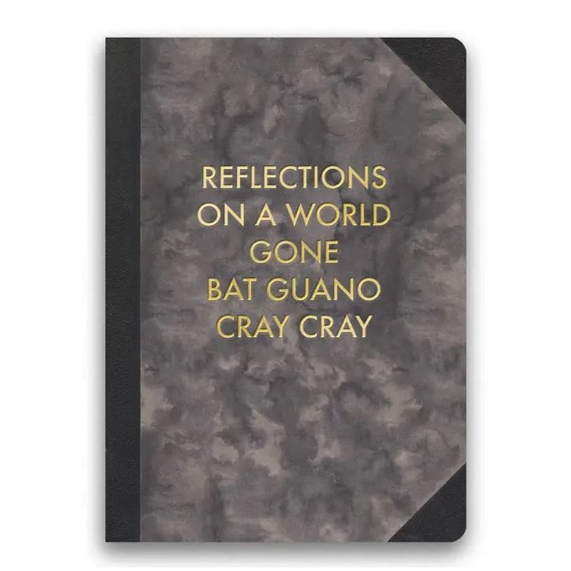 Reflections on a World Gone Bat Guano Cray Cray Journal