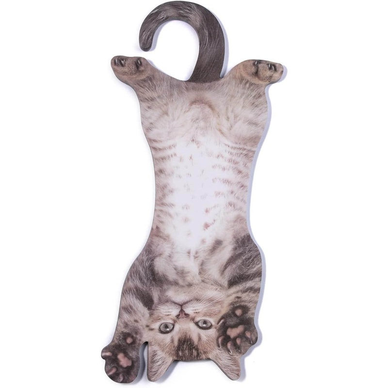 Cat Hanging Notes