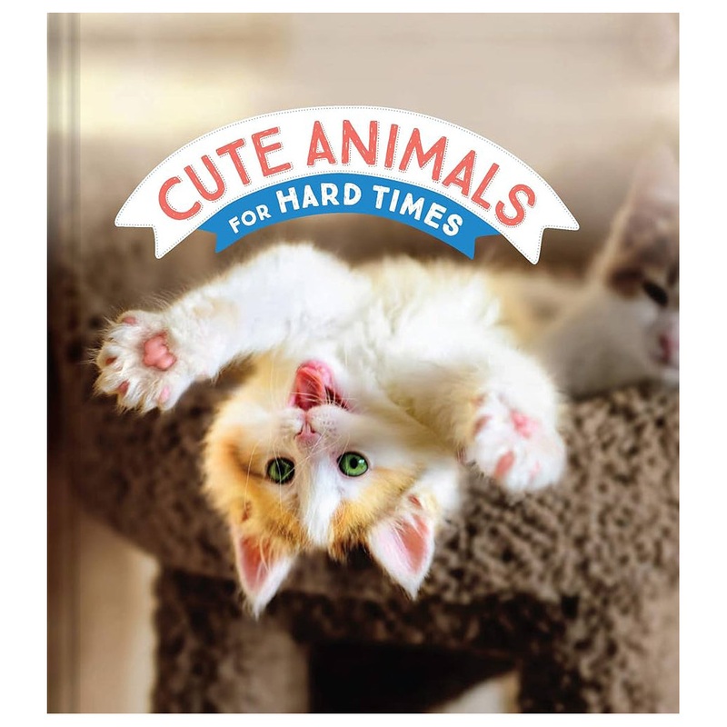 Cute Animals for Hard Times