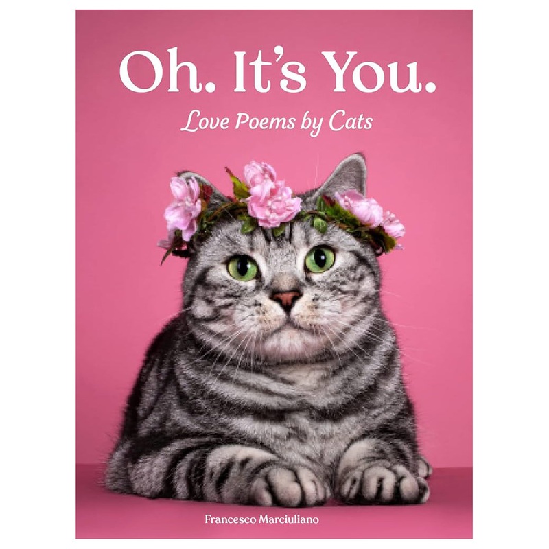 Oh. It’s You.   Love Poems by Cats