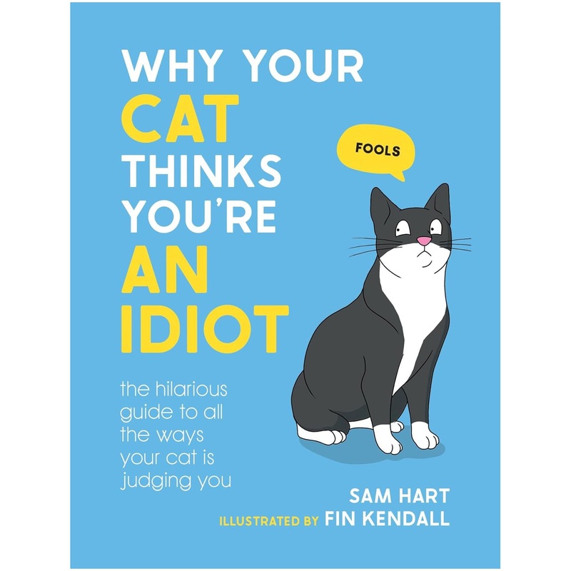 Why Your Cat Thinks You’re an Idiot