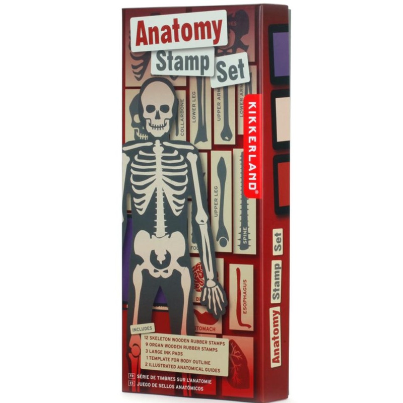 Anatomy Stamps