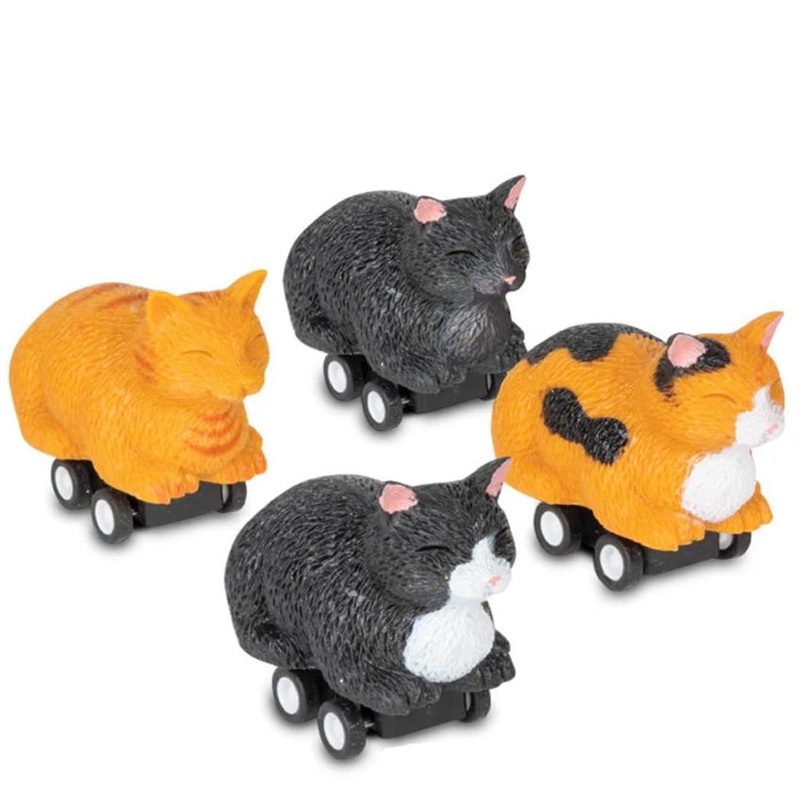 Racing Bread Loaf Cat – 1 random style