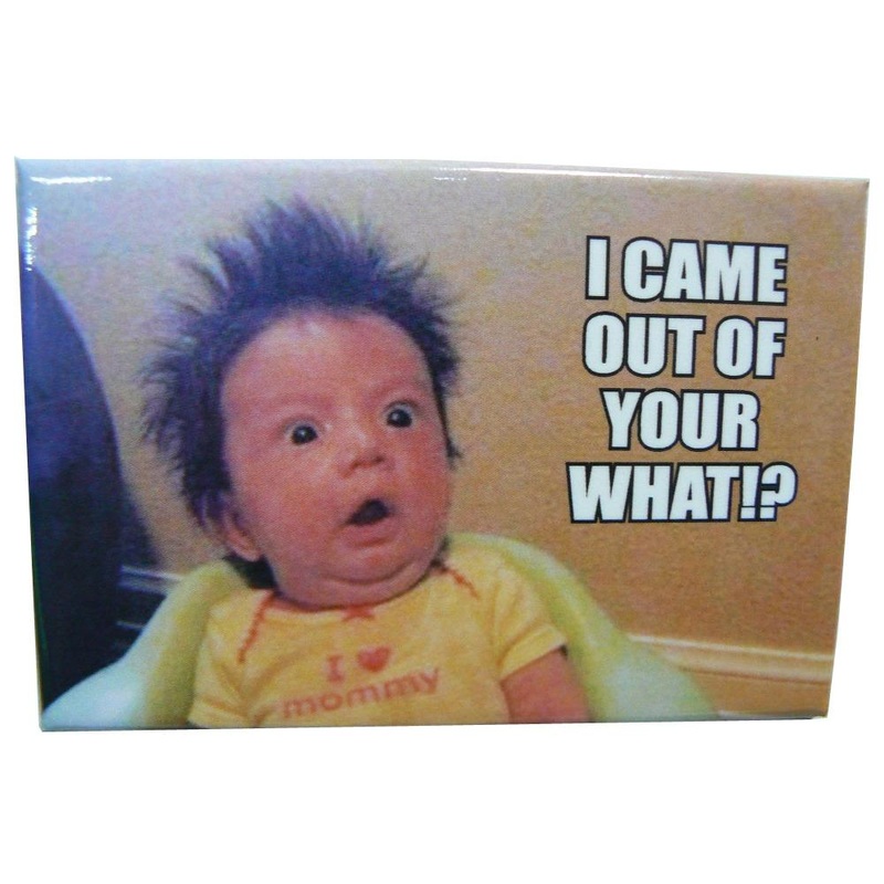 I Came Out of Your What!? Magnet