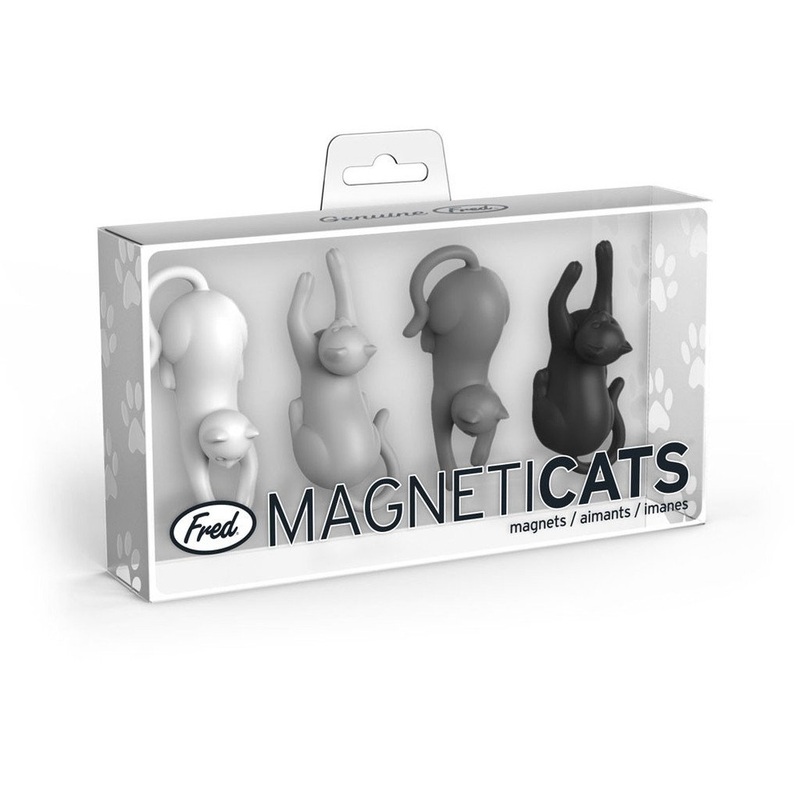 Magneticats