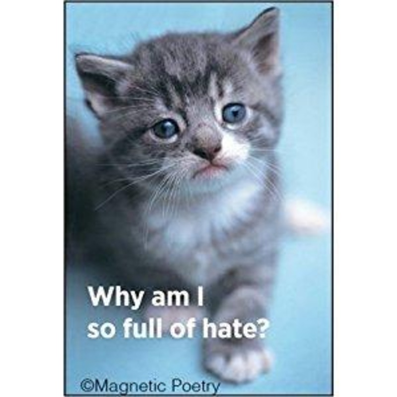 Why am I so full of hate? Magnet