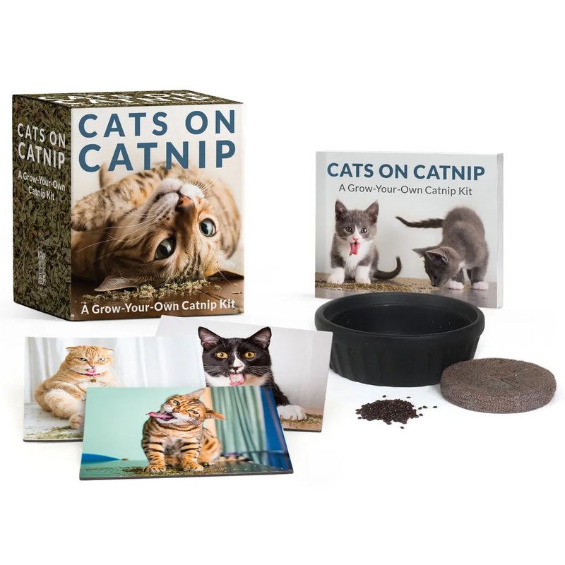 Cats on Catnip Grow catnip kit