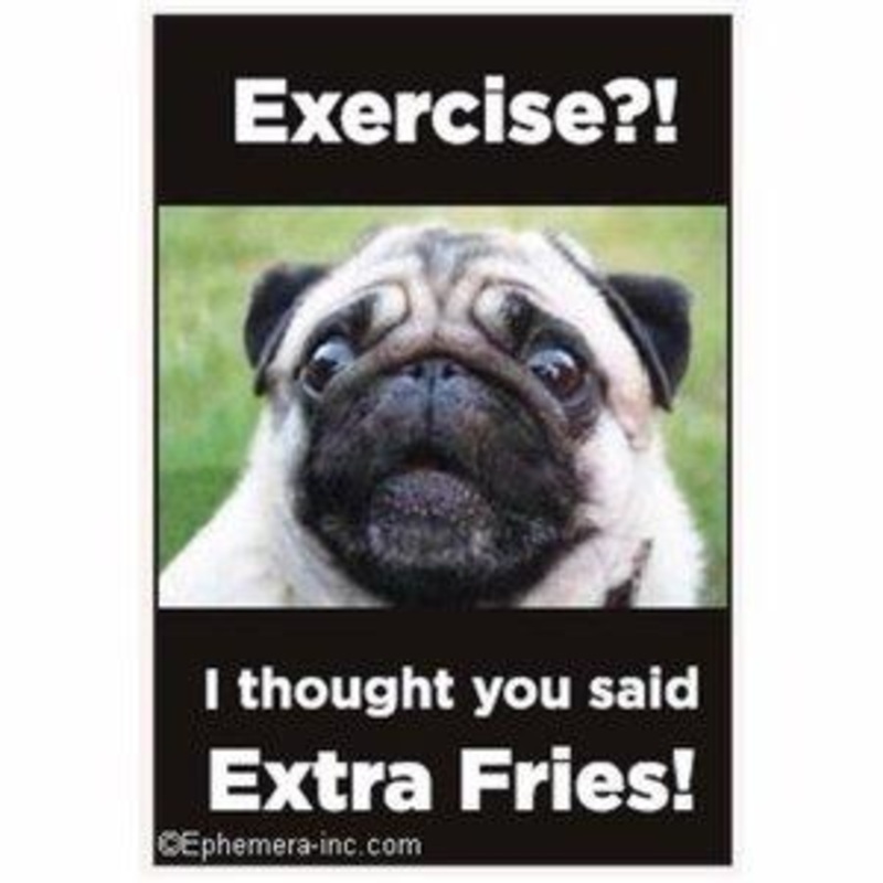 Exercise?! I thought you said extra fries magnet