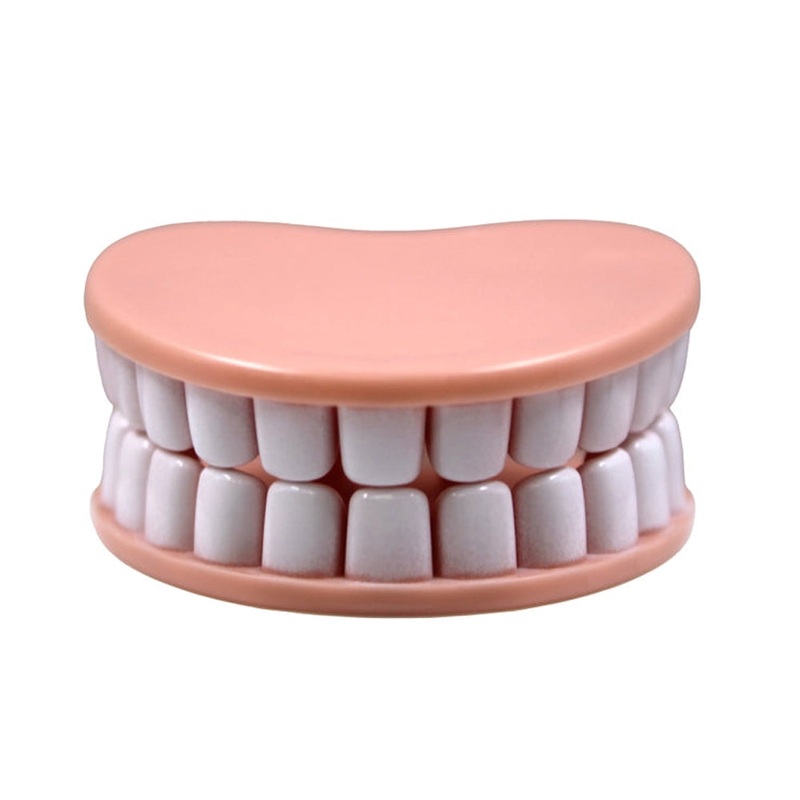 Denture Bag Clips