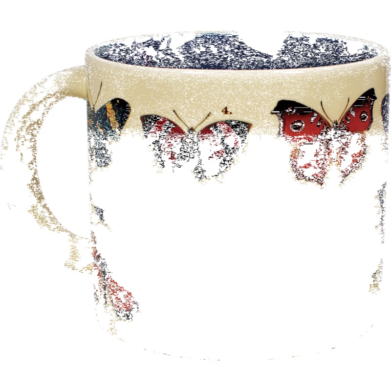 Butterfly Color Changing Mug