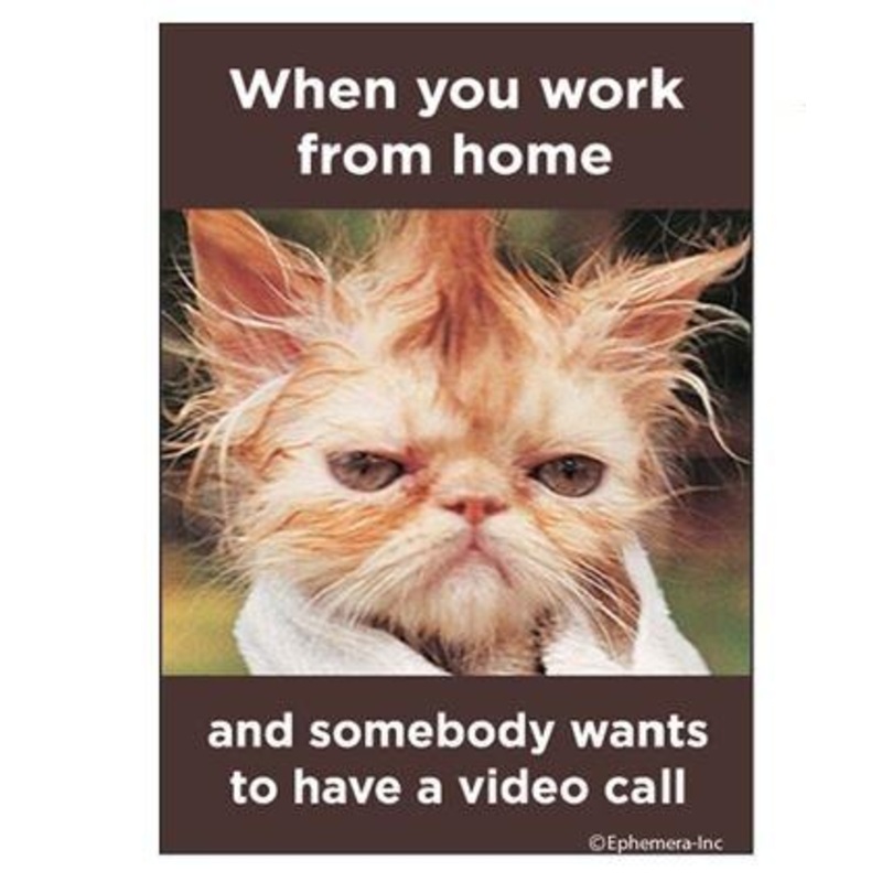 Work From Home Video Call Magnet