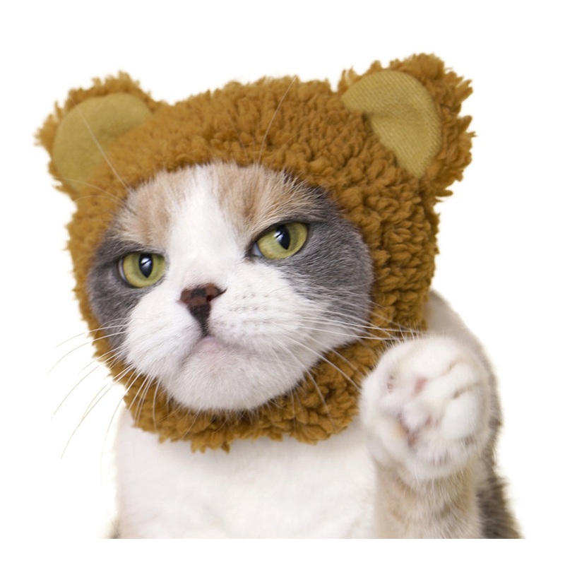 Cat Bear Cap – 1 random cap in a blind box