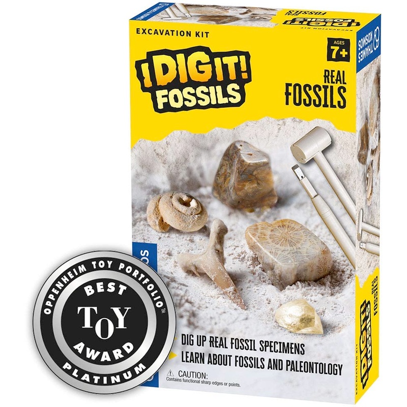 I Dig It! Fossils – Real Fossils Excavation Kit