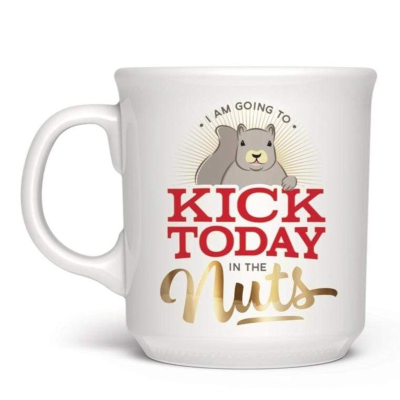 Kick Today in the Nuts Mug