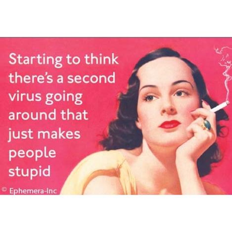Second Virus … makes people stupid- magnet