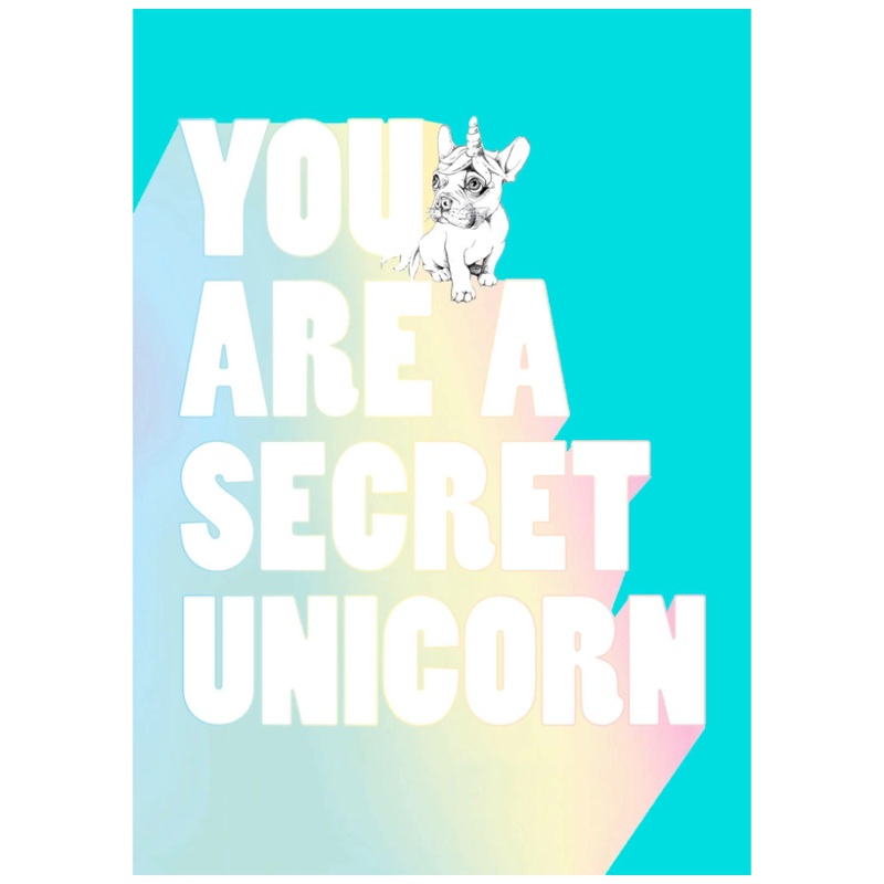 You are a Secret Unicorn Book