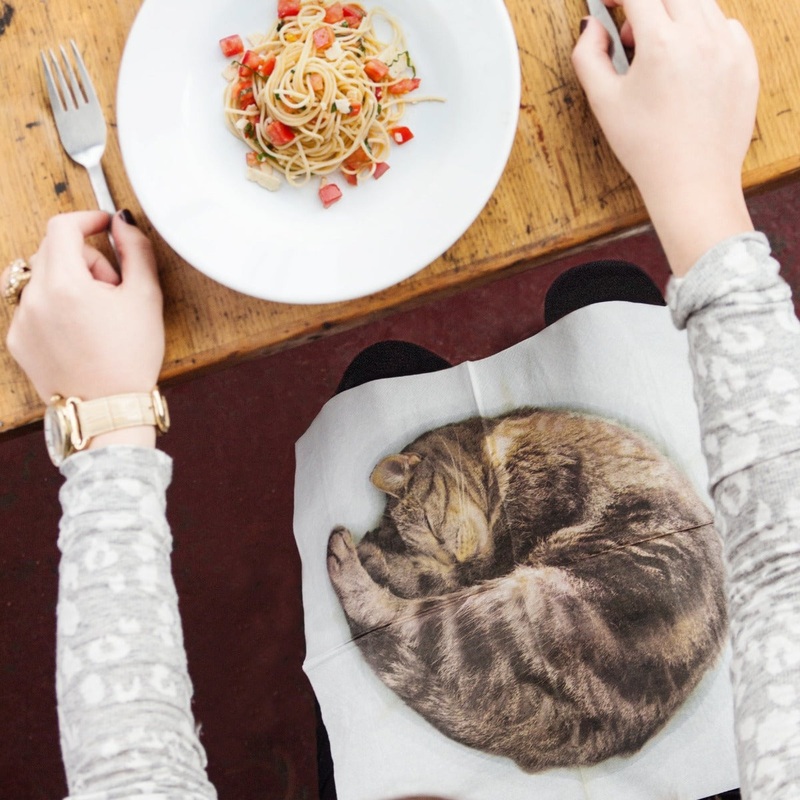 Cat Napkins Pack of 24