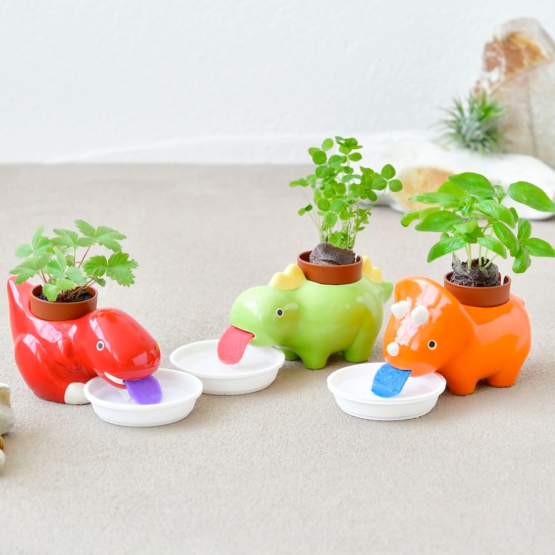 Green Zaurus – Self Watering Dino Pot – 1 random style