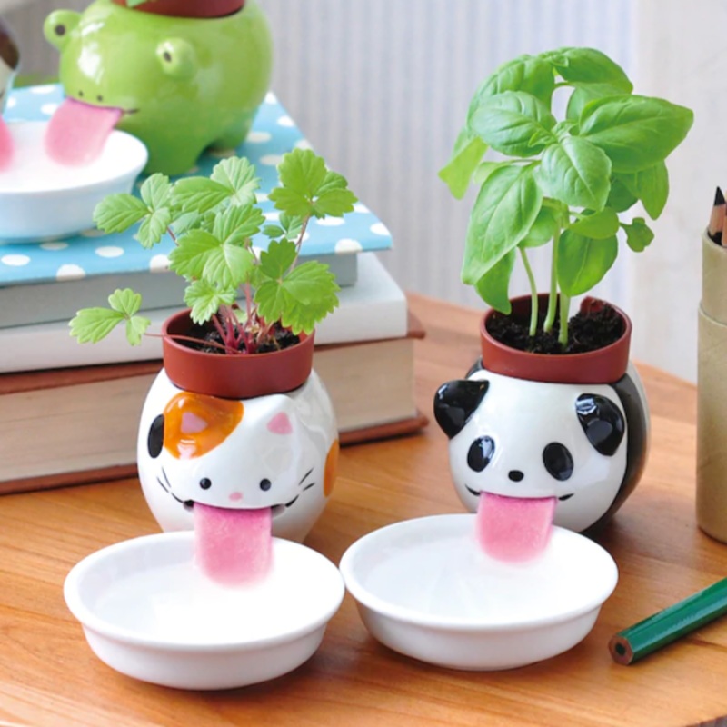 Peropon – Self Watering Garden