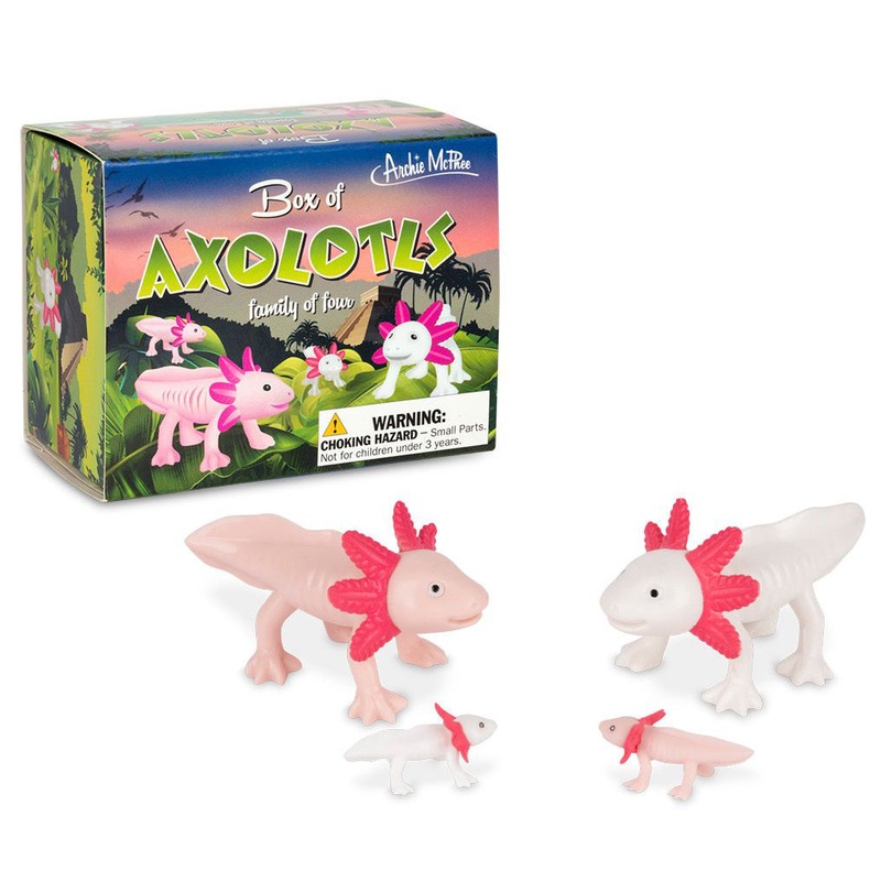 Box of Axolotls – Family of Four