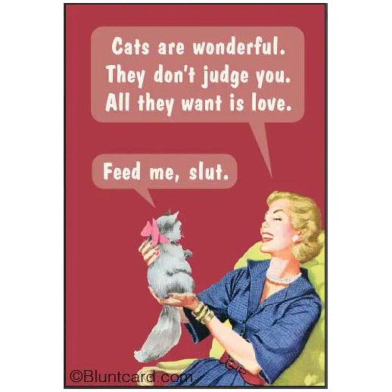Cats are Wonderful… Feed me slut Magnet