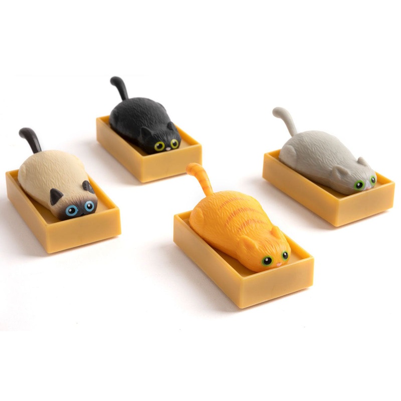 Racing Cat in Box – 1 random color