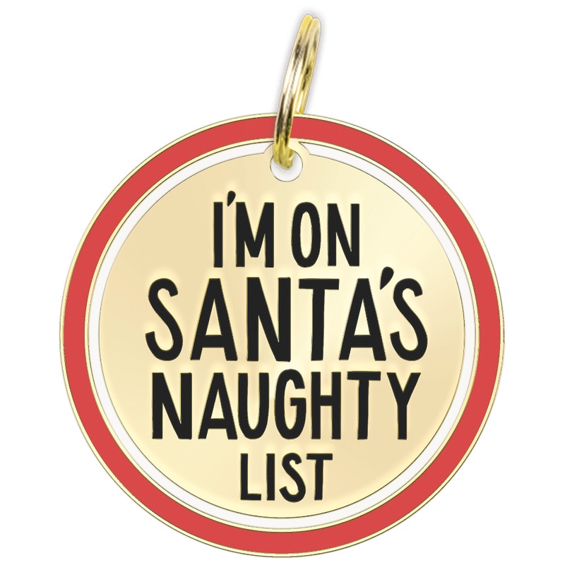 Santa’s Naughty List – collar charm