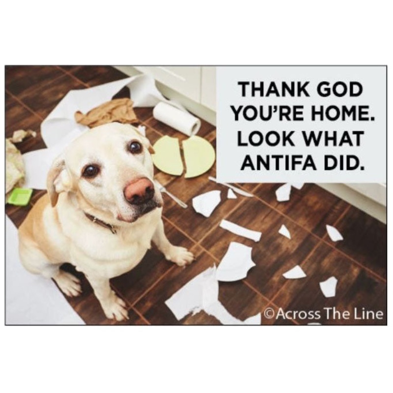 Thank God You’re home, Look at what Antifa did Magnet