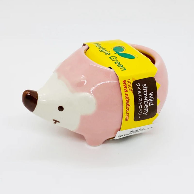 Hedgie Green planter – 1 random color