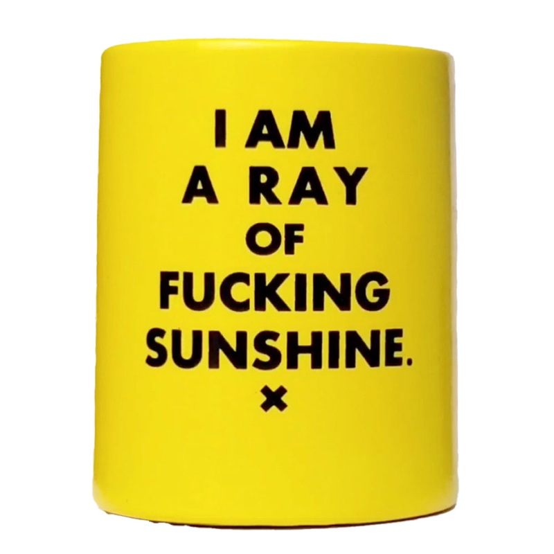 I Am A Ray of Fucking Sunshine… Vintage Beer Koozie