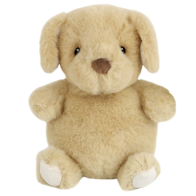 Jake Petit Puppy