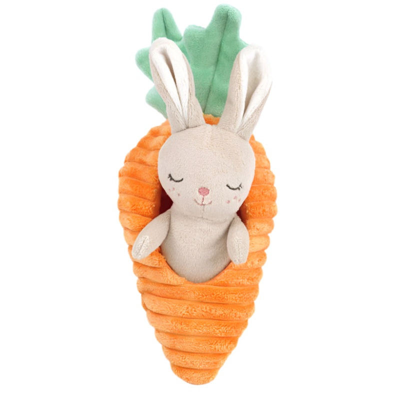 Bunny in Carrot Activity Toy