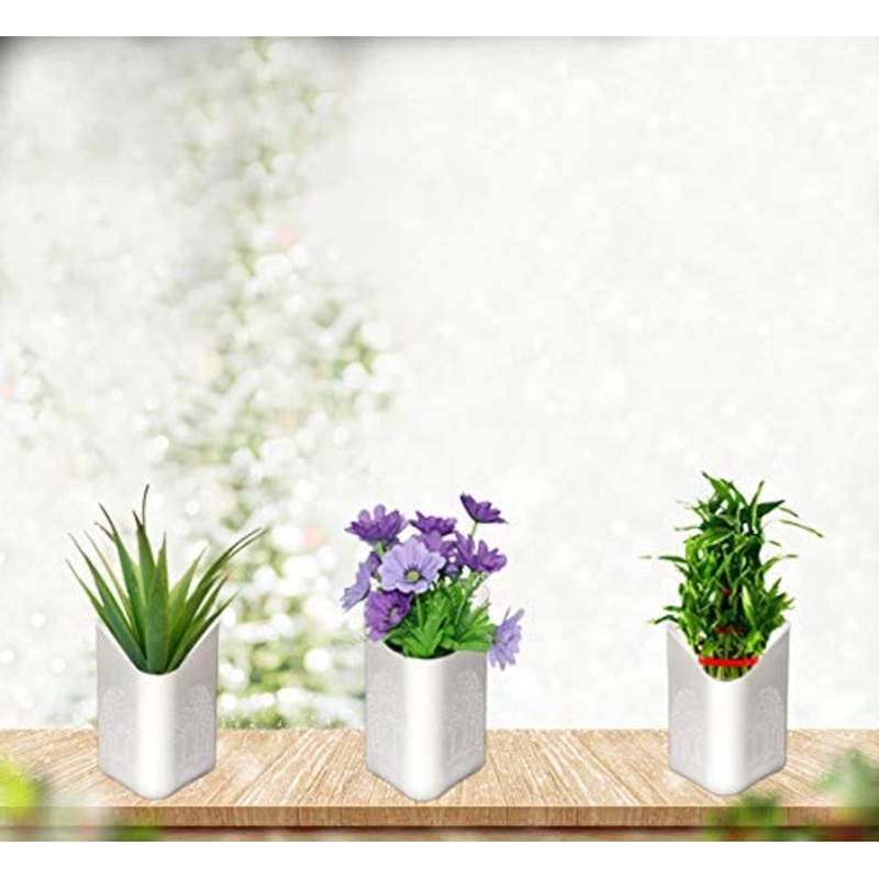 Plastic Vertical Hanging Planter Pot, Multicolour,