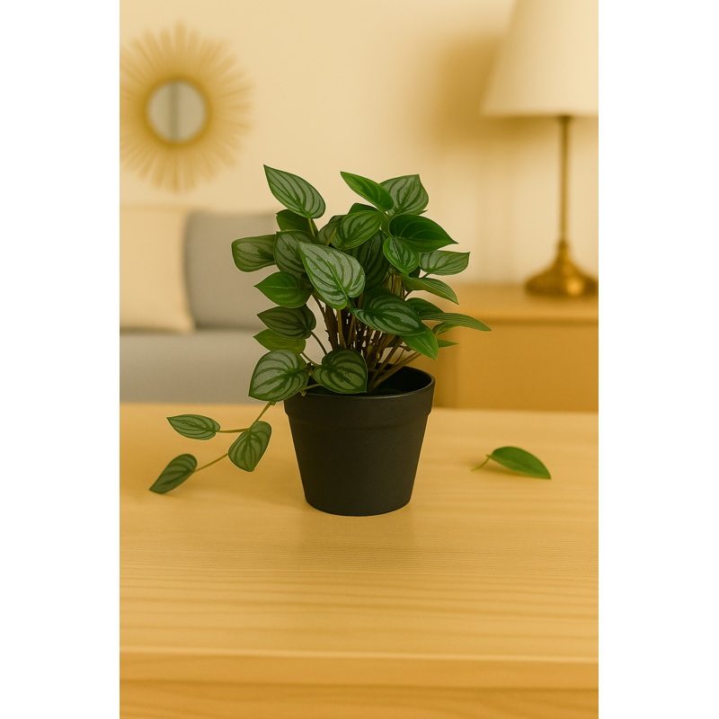 VerdeCharm Mini Ornamental Plant for Indoor and Outdoor, Home, Shop, Office, Restaurant Decor Dark Green (Pack of 1), Plastic