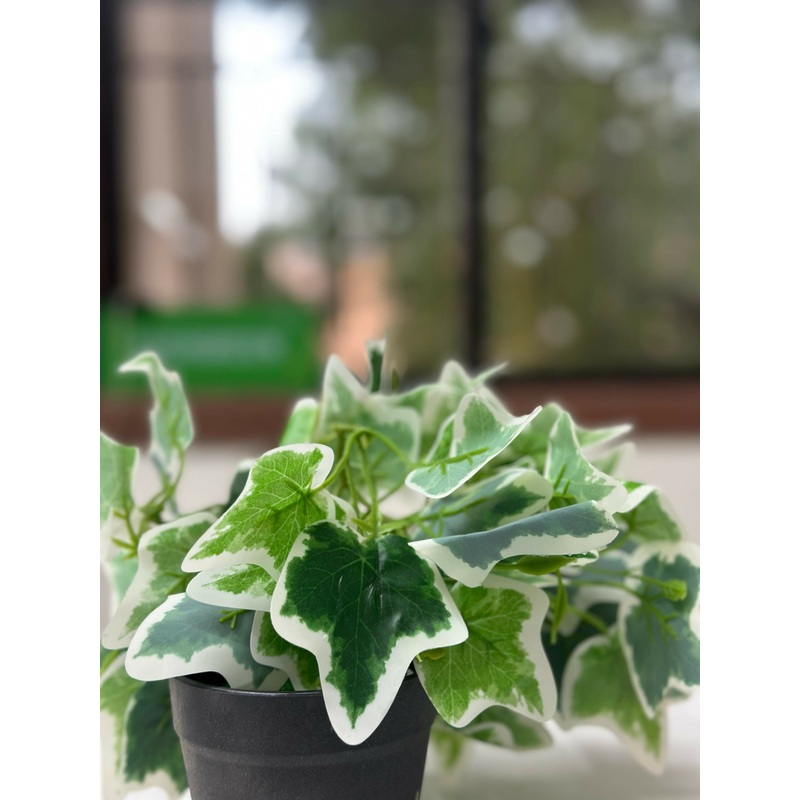 Frosted Ivy Faux Plant in Charcoal Pot Natural Looking Artificial Green Rubber Plant for Home Shop and Office Dcor Bonsai Artificial Plant with Pot