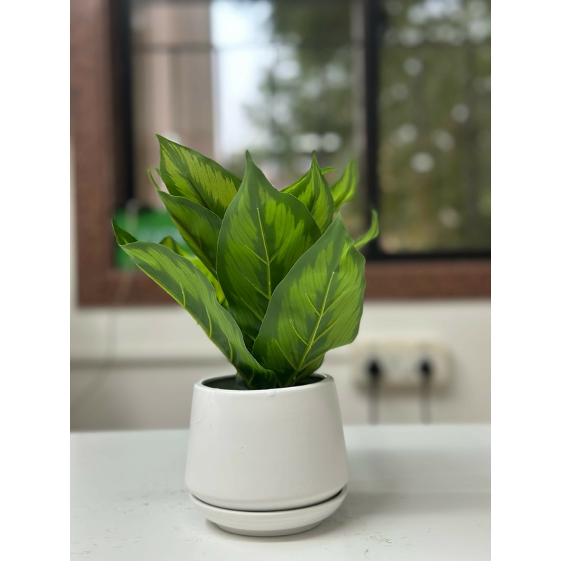 Verdant Glow Faux Plant in White Ceramic Planter